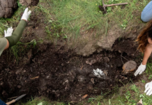 The discovery of clandestine graves in Colima has increased more than twentyfold.